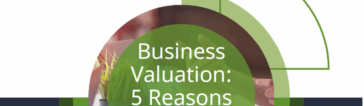 Business Valuation: 5 Reasons Why It’s Important