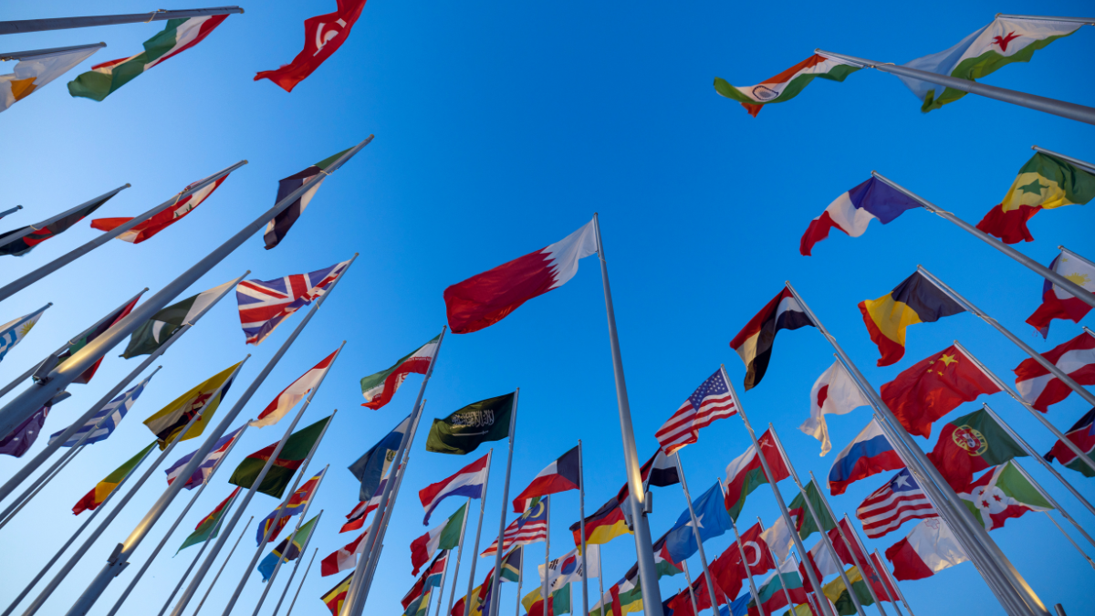 Add-On Acquisitions: Domestic and International Insights