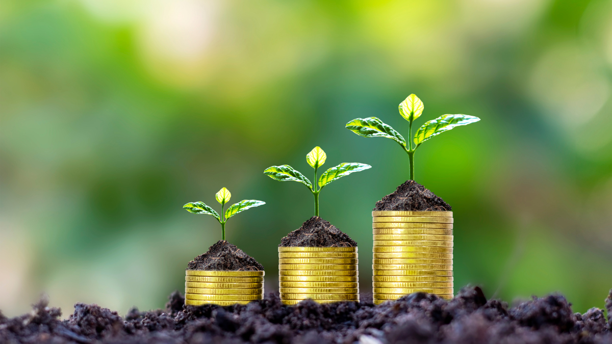 We May Never See a Better Environment for Transferring Wealth… Here’s Why