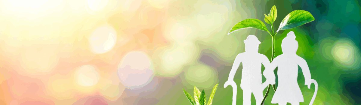 Tax-Smart Retirement Planning for Business Owners